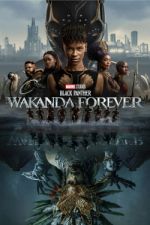 Black Panther: Wakanda Forever 0123movies
