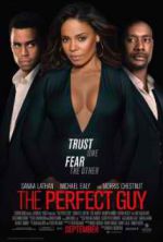 Watch The Perfect Guy 0123movies