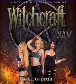 Watch Witchcraft 14: Angel of Death 0123movies