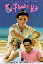 Watch The Flamingo Kid 0123movies