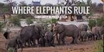 Watch Where Elephants Rule 0123movies