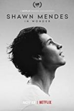 Watch Shawn Mendes: In Wonder 0123movies