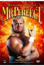 Watch The Life and Times of Mr Perfect 0123movies