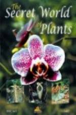 Watch The Secret World of Plants 0123movies