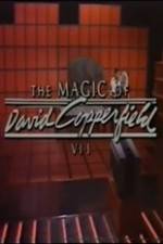 Watch The Magic of David Copperfield VII Familares 0123movies