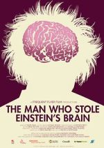 Watch The Man Who Stole Einstein\'s Brain 0123movies