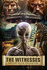 Watch The Witnesses: Ancient Alien Encounters 0123movies