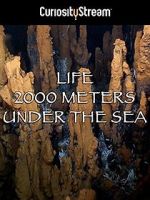 Watch Life 2,000 Meters Under the Sea 0123movies