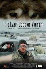 Watch The Last Dogs of Winter 0123movies