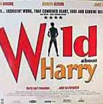 Watch Wild About Harry 0123movies