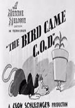 Watch The Bird Came C.O.D. (Short 1942) 0123movies