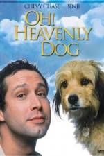 Watch Oh Heavenly Dog 0123movies