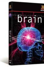 Watch The Brain 0123movies