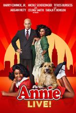 Watch Annie Live! 0123movies