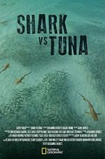 Watch Shark vs Tuna 0123movies
