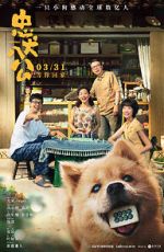 Watch Hachiko 0123movies