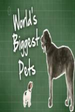 Watch World's Biggest Pets 0123movies