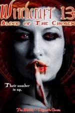 Watch Witchcraft 13: Blood of the Chosen 0123movies