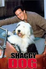 Watch The Shaggy Dog 0123movies