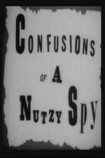 Watch Confusions of a Nutzy Spy 0123movies