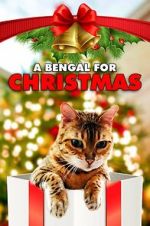 Watch A Bengal for Christmas 0123movies