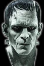Watch Frankenstein Birth of a Monster 0123movies