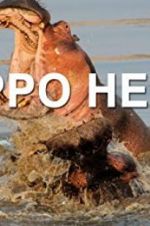 Watch Hippo Hell 0123movies