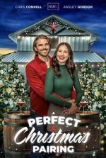 Watch A Perfect Christmas Pairing 0123movies