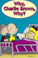 Watch Why Charlie Brown Why 0123movies