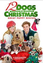 Watch 12 Dogs of Christmas: Great Puppy Rescue 0123movies