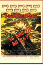 Watch SeeMoreBuds: Vol. 1 0123movies