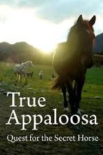 Watch True Appaloosa 0123movies