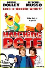 Watch Hatching Pete 0123movies