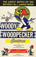 Watch The Woody Woodpecker Polka 0123movies