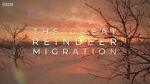Watch All Aboard! The Great Reindeer Migration 0123movies