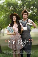 Watch Mr. Right 0123movies