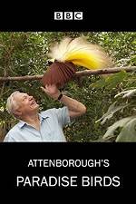 Watch Attenborough's Paradise Birds 0123movies