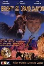 Watch Brighty of the Grand Canyon 0123movies