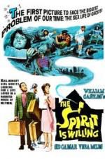 Watch The Spirit Is Willing 0123movies