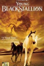 Watch The Young Black Stallion 0123movies