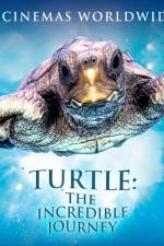 Watch Turtle The Incredible Journey 0123movies