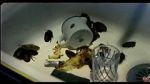Watch Coup de lune (TV Short 2000) 0123movies