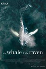 Watch The Whale and the Raven 0123movies