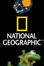 Watch National Geographic Wild Dam Beavers 0123movies