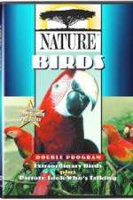 Watch PBS Nature - Extraordinary Birds 0123movies