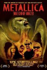 Watch Metallica: Some Kind of Monster 0123movies