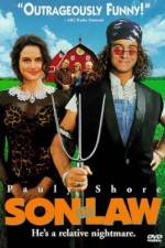 Watch Son in Law 0123movies