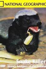 Watch National Geographic: Snake Killers Honey Badgers Of The Kalahari 0123movies