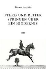 Watch Pferd und Reiter Springen ber ein Hindernis 0123movies