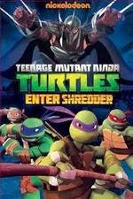 Watch Teenage Mutant Ninja Turtles: Enter Shredder 0123movies